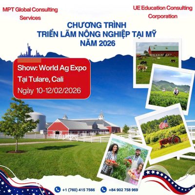 377fc3cbeb9464ca3d85